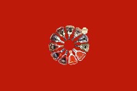 沙县区回收红酒